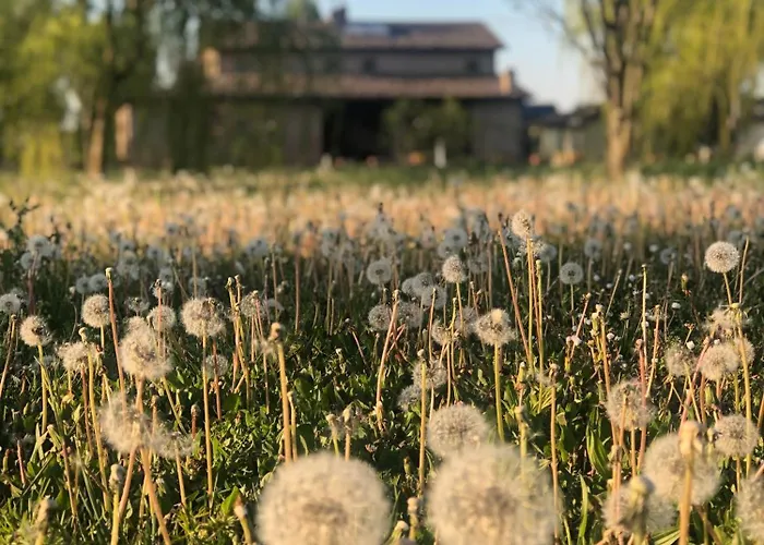 Agriturismo I Bosconi Cesena